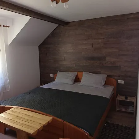 Casa Vanatorului Buzaiel Vama Buzăului